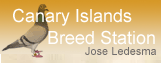 Canary Islands Breed Station