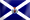 BANDERA